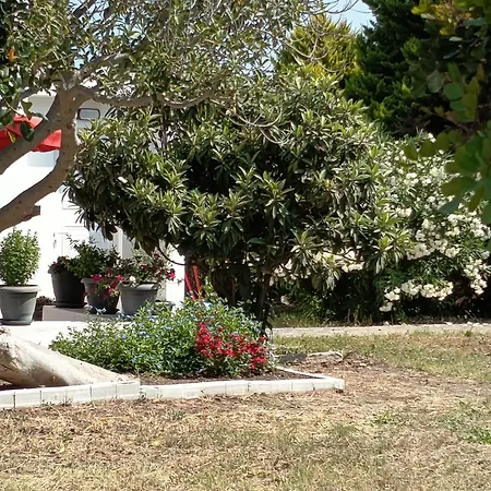 Kosaris בית נופש