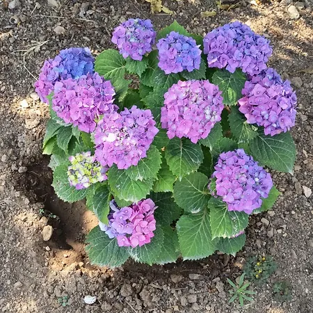 Hébergement de vacances Kosaris Zipárion