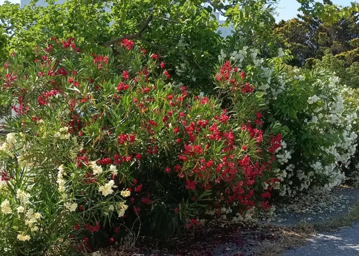 Kosaris Prázdninový dům