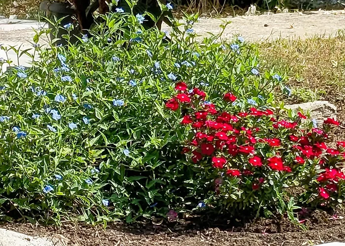 Kosaris Prázdninový dům *