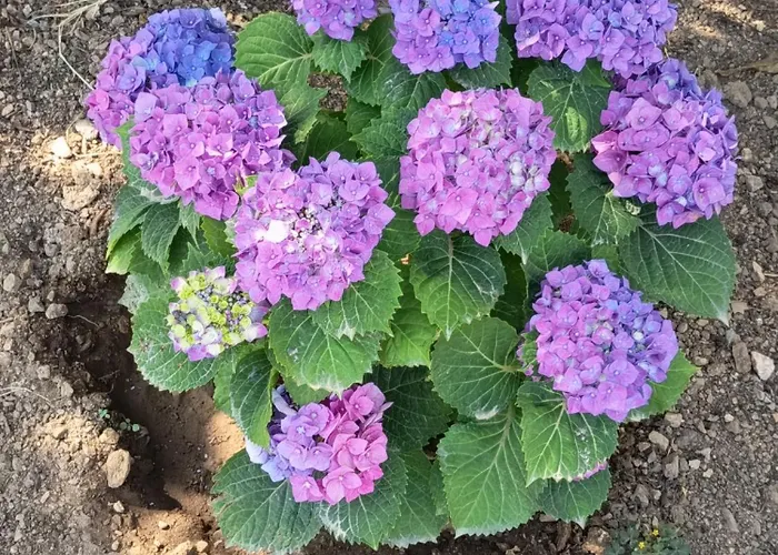 Holiday home Kosaris Ziparion